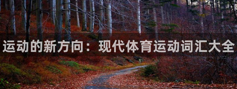 oety欧亿体育官网下载是干嘛的公司:运动的新方向:现代体育