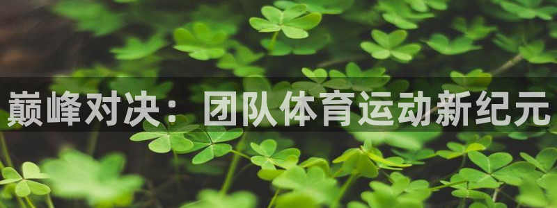 欧亿体育官方正版app新能源:巅峰对决:团队体育运动新纪元