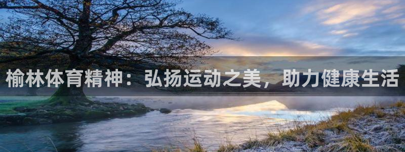 德国欧亿体育官方正版app集团:榆林体育精神:弘扬运动之美,